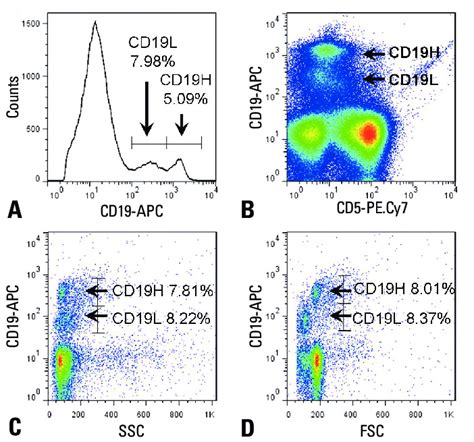 high cd19 count|cd19 b cell count.